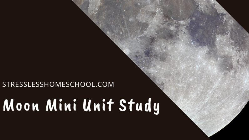 Moon Unit Study